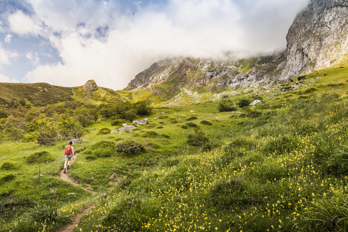 Rutas Picos de Europa Planes cerca de los Picos de Europa
